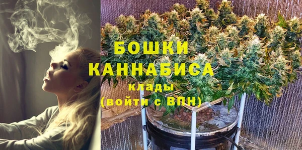 шишки Алексеевка